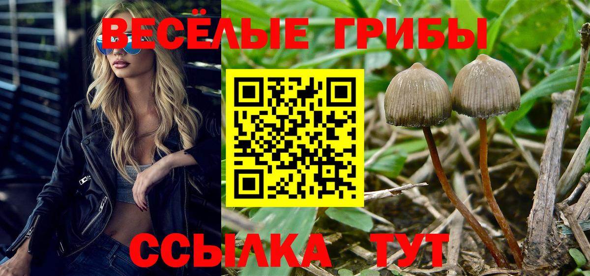Нерюнгри  Псилоцибиновые грибы MAGIC MUSHROOMS  Вход с VPN 
